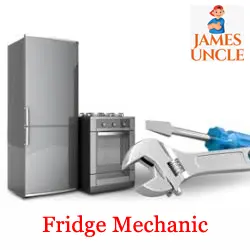 Fridge mechanic Mr. Chiradip Saha in Naktala